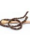 2X150Gr. Alpine Alpaca Wool, Alpaca, Acrylic Brown Luxury, Alpaca, Winter, Very Thick - 3
