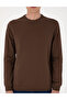 Brown 2 Thread Regular Fit Crew Neck Basic Sweatshirt 50314054-Vr029 - 6