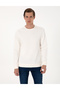 Ecru 3 Thread Regular Fit Crew Neck Basic Sweatshirt 50314978-Vr019