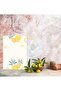 Glass Cutting Board and Presentation Holder, Set (20X30 and 25X35 cm), 4 Mm, Colorful Pattern - 2