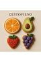 Avocado, Grapes, Strawberries, Oranges Set Dough Sculpting/Cookies, Ceramic, Polymer Clay, Play Dough - 2