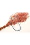 M216 Model - Certified Natural Stone Kyanite Necklace - 6