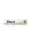 Center Fresh Green Toothpaste 100 ml Long-lasting Fresh Breath & Daily Oral Protection - 3
