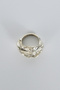 Silver Amorphous Ring - 5