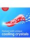 Herbal Toothpaste Value Pack 4 X 100 ml Natural Protection For Strong Teeth & Long-lasting - 3