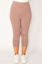 Women's Large Size Powder Cotton Fabric Leggings Capri 65n34124
