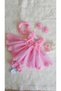 Baby Girl Pink Laser Floral Prnses Special Day, Mawlid, Festive Wedding and Birthday Dress Set - 3