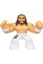 Goo Jit Zu WWE S2 Hero Pack- Sprstr Eth Freakin Rollins 43010