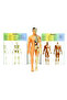 The Human Body 3D Educational Set 3302 - 4