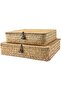Set of 2 Wicker Shelf Baskets with Lids – Natural Seagrass Rattan Organizers for Boho Home Decor