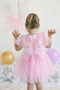 Baby Girl Girl Child Birthday Party Wedding Dress Balloon Collar Winged Tulle Tutu Tutu Lined - 3