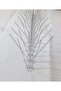 Plastic Bird Spikes 2 And 3 Pins (50cm)- 2 Pieces - 3