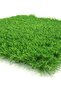 Interior Artificial Grass, ZV Mix Brand, Green (1X1 Meter) - 5