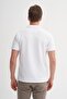 Caz 4201 Polo T-Shirt (25Y) - 3