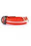 Adjustable Lighted Dog Collar