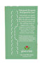 Organic Senna Mint 24 Tea Bags - 3