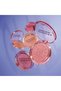 Colorful Blush Gaze - Glittering Blush, Pigmented and Glittering Appearance, Lasting, Ultra Bright - 6