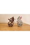 TOM ve JERRY