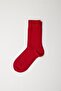 Men's family red socks