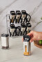 Shinex Inox 9 Piece Glass Spice Set with Stand 100 ml - 3