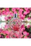 Chichi Eau De Toilette for Women 100 ml – Fresh Floral Fragrance, Long-Lasting - 5