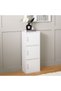 Carlotta 3-Door Storage Cabinet - Elegant White Wood Cabinet with 2-Year Warranty, 40x29x106cm - 2