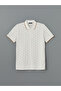 Lcwaikiki Classic Polo Collar Short Sleeve Patterned Pique Men's T-Shirt (S5) - 5