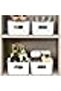Set of 6 Plastic Storage Baskets – Kitchen Pantry Organizers for Small Items & Containers - 2