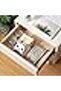2-Pack Clear Plastic Organizer Trays – Versatile Storage for Desk, Makeup, Bathroom & Kitchen - 2