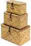 Set of 3 Shelf Baskets with Lids, Handwoven Seagrass Wicker Boxes for Makeup & Multipurpose Storage