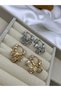 Korean Style Steel Earrings with Ice Crystal Zircon Stone with Gold and Silver Detail - 6