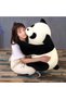Dir Panda Toy Plush Toy Gift 30 cm - 3