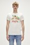 23.01.07.011-23Y Frog Men's T-Shirt - 2