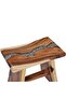 Stool Solid Suar Wood and Polyresin - 5