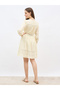 Schiffli Detail V-Neck A-Line Mini Dress - 5