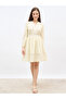 Schiffli Detail V-Neck A-Line Mini Dress - 2