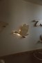 Dery Baby Wooden Flying Birds Night Light/Children's Room Accessory - 5