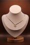 316L Steel Gold Plated Necklace Stainless – Tarnish and Water Resistant