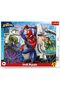 Brave Spiderman / Disney Marvel Spiderman