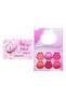 Kevin&Coco Makeup Set, 6 Blush Colors, Fluffy Case, Kitty Pattern - 4