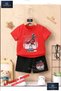 Children's Unisex “Flamingo Stay Fly“ Custom Printed Crew Neck T-Shirt - Shorts Set