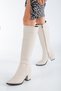 Pointed Toe Below the Knee 5 cm Thick Heel Women's Boots - 2
