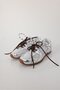 Silver Mesh Sneaker 24301