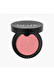 Luminous Silk Compact Blusher - 2
