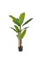 Planta Banana Tree artificiala, planta decor 130 cm - 2