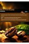 Selection Blend 1000 Gr Strong, Ready-To-Drink, Fully Automatic Machine Compatible Espresso Whole Bean Coffee - 3
