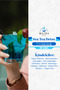 sea tea - 3