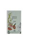 LIGHTLY BLOOM PARFÜM 100 ML EDP - 2