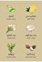 كبسولات شيفت الاصدار الثاني - الزنجبيل و الحمضيات لحماية الشعر من الكلور 6 كبسولات - 3