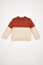 Baby Boy Regular Fit Crew Neck Color Blocked Soft Furry Thin Sweatshirt Fabric Sweatshir - 5
